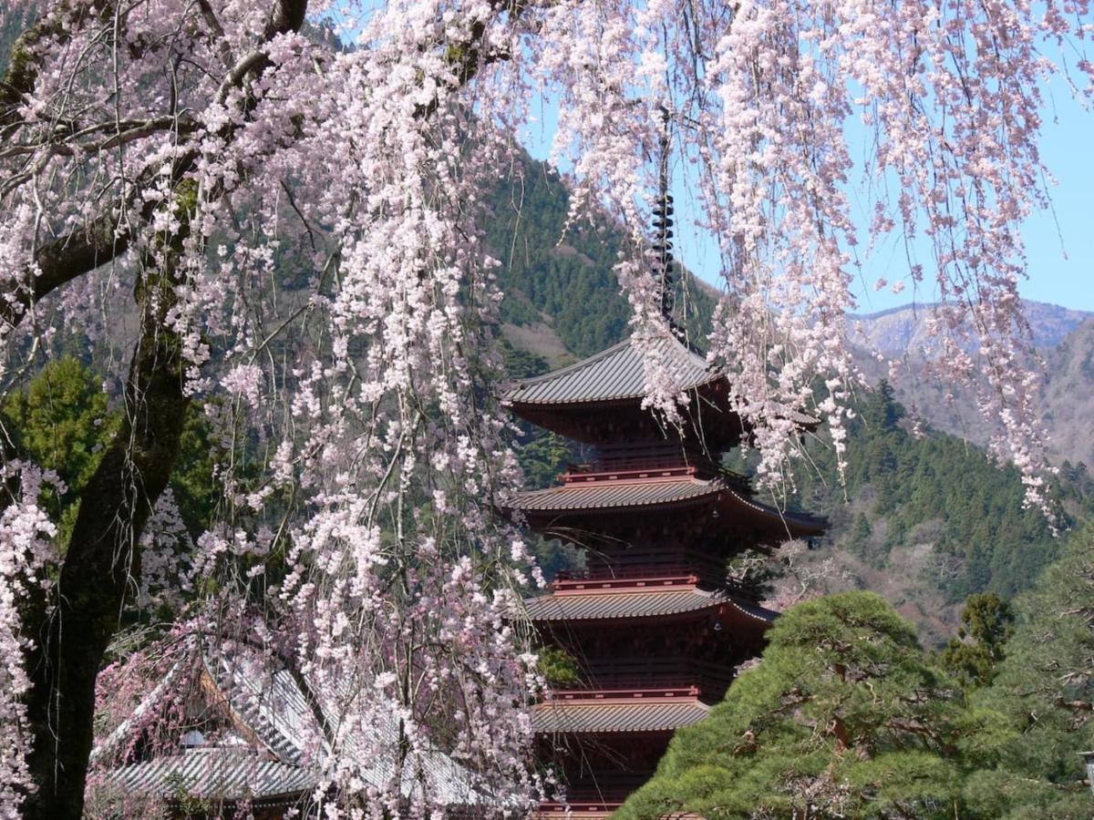 宿坊 端場坊｜Temple Hotel Habanobo Minobu Exteriör bild
